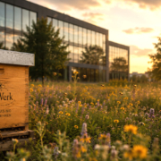 bienen-leasing-summwerk